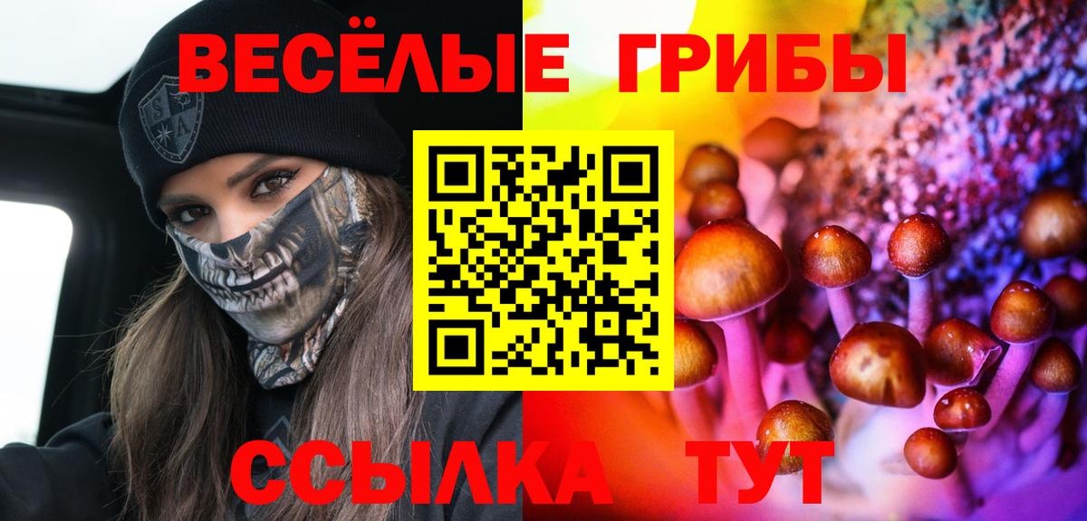 Псилоцибиновые грибы мицелий  Псилоцибиновые грибы мицелий  Ярцево  Вход с VPN 
